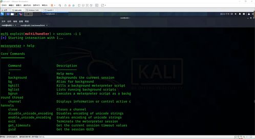 網(wǎng)絡(luò)安全滲透中的客戶端惡意軟件開發(fā) Windows與Linux平臺